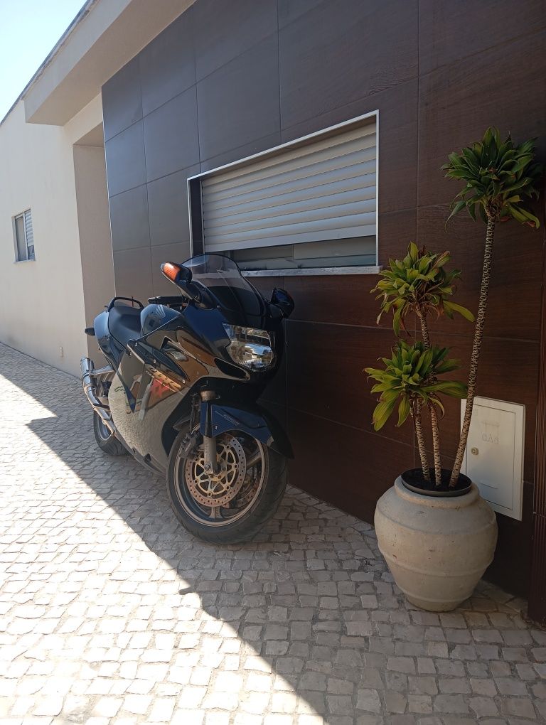 Cbr1100XX Super Blackbird