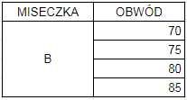 Biustonosz Push-Up Hn&Bn Granatowo- Cielisty nr 5012 Miseczka B 38/85