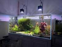 Sprzedam akwarium viv razem z szafka viv 300L opti white+ GRATISY