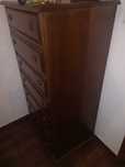 Camiseiro alto castanho
