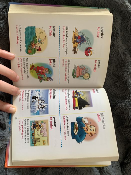 Dicionário português-inglês infantil ilustrado