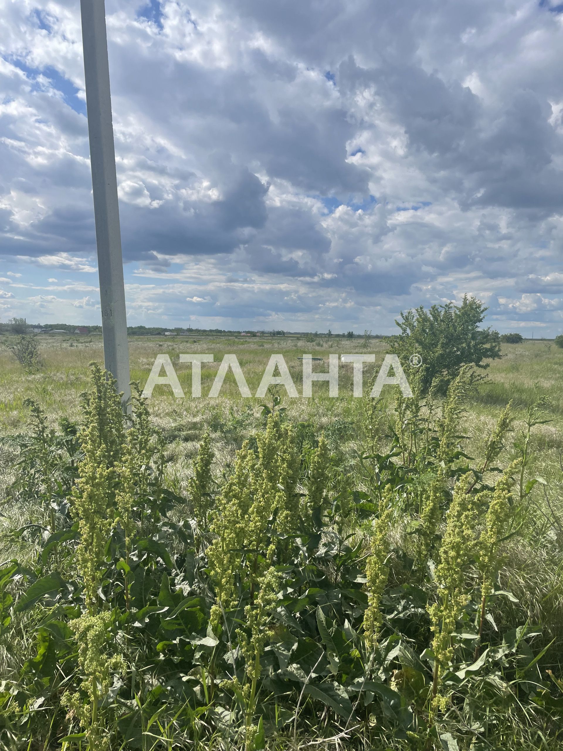 Участок в Фонтанке.