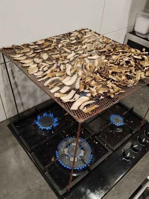 Grzyby suszone . Zbiory 2025. Pełen karton