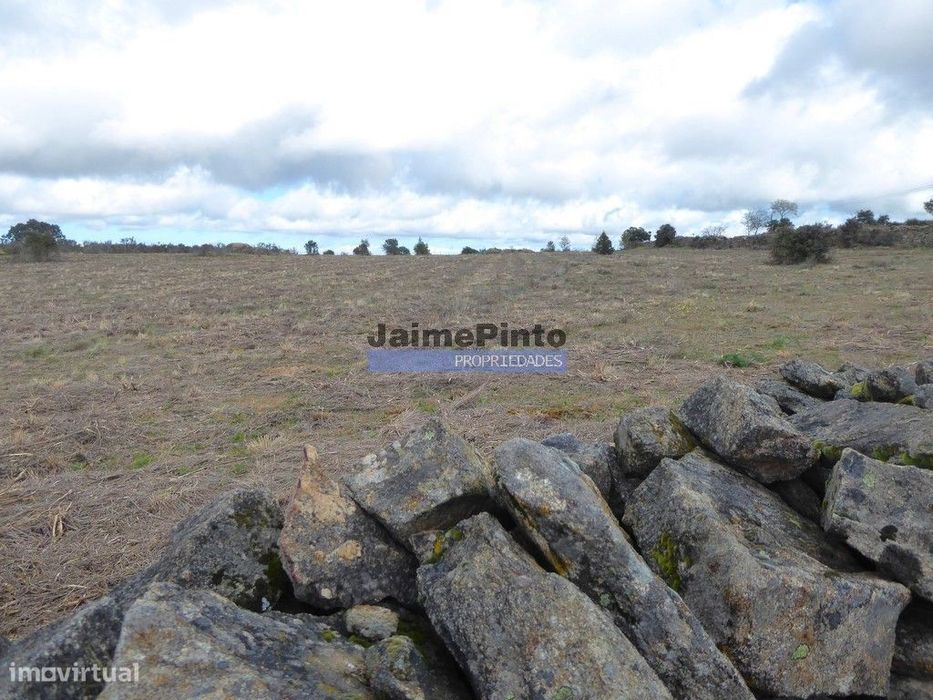 Quinta, herdade de 210.000m2 para agricultura. Portugal, Guarda, F...