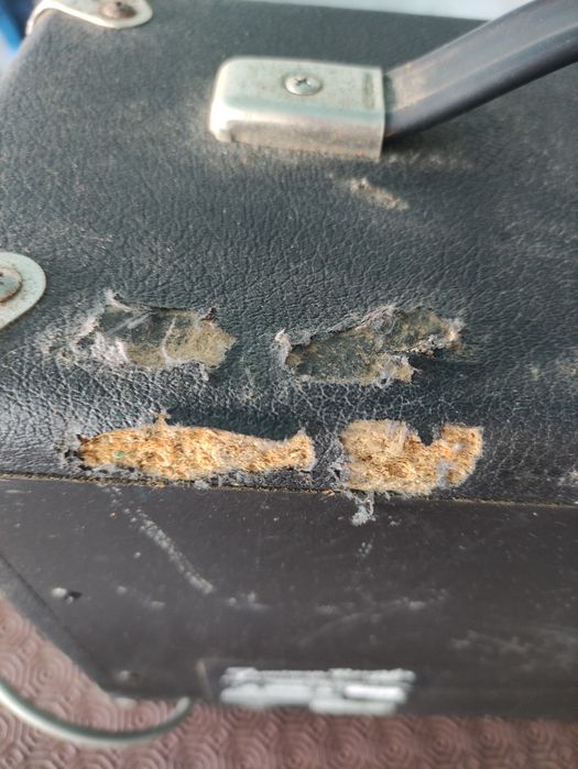 Combo Fender 15 watts