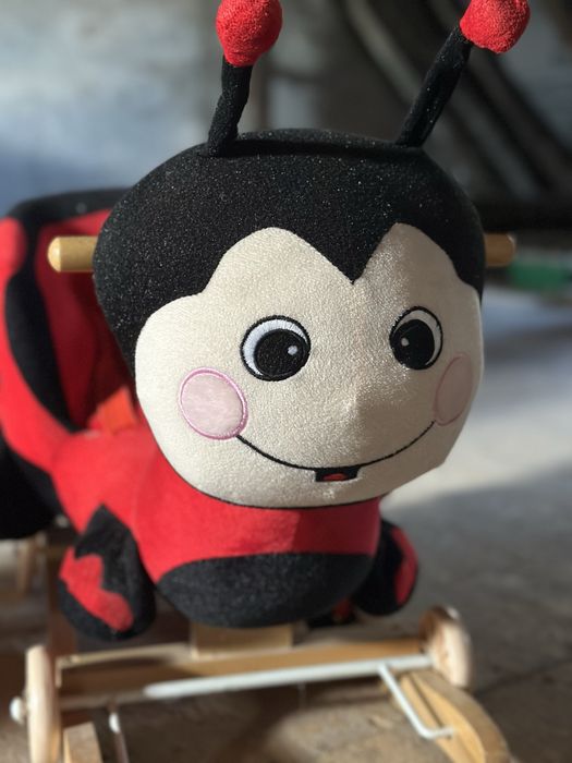 Bujaczek jeździk biedronka