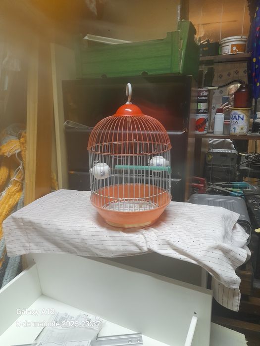 Gaiolas para passaros ou animais