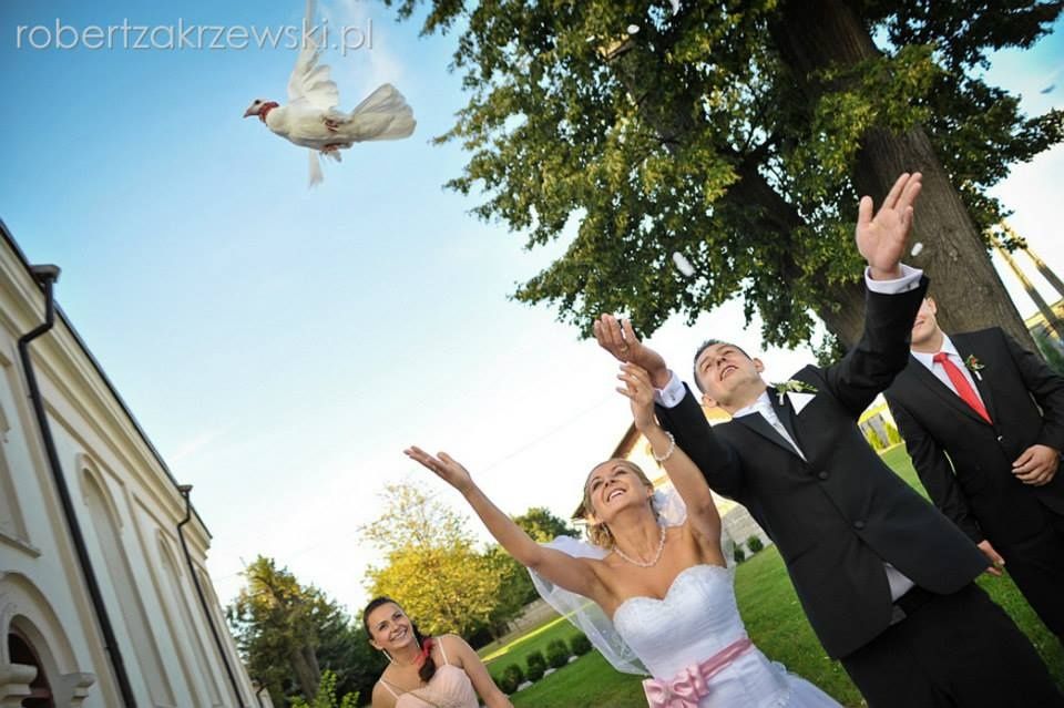 Białe gołębie na ślub (przyjmuje zapisany na 2024r )