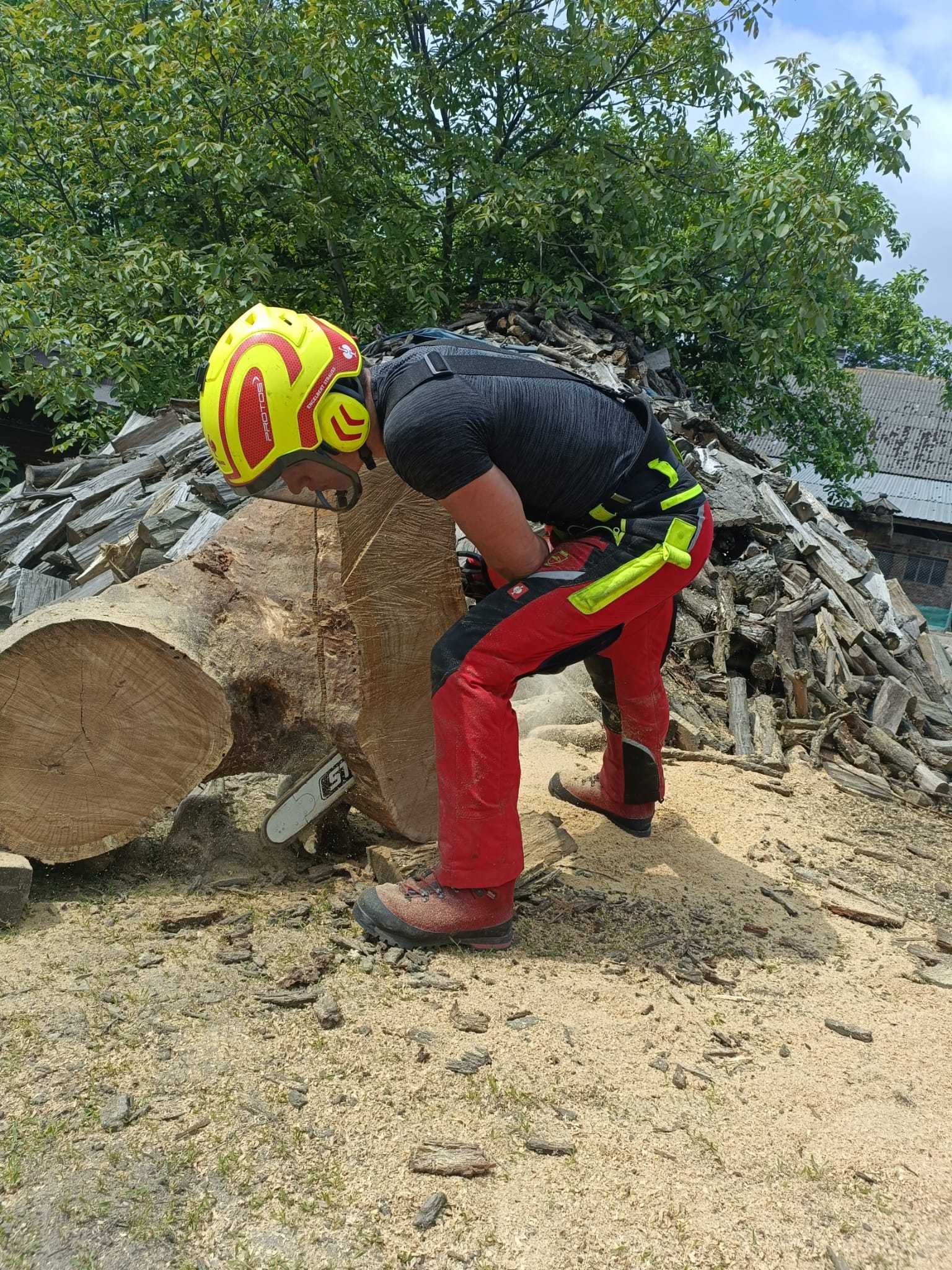 Wycinka, przycinanie, ścinanie drzew Jarocin