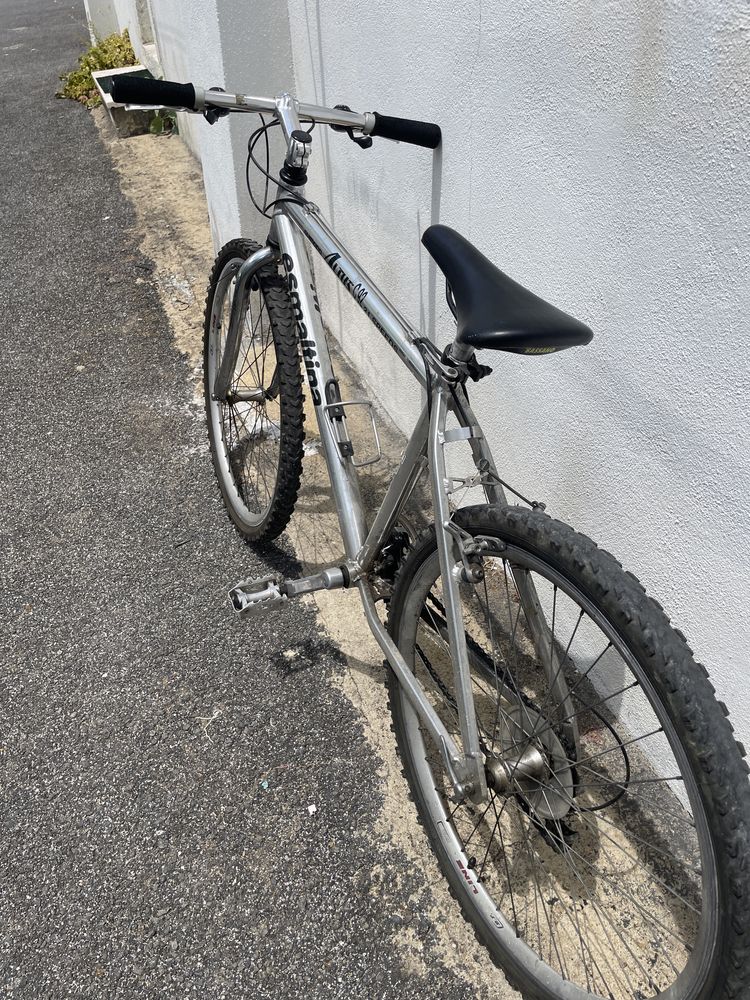 Bicicleta cinzenta