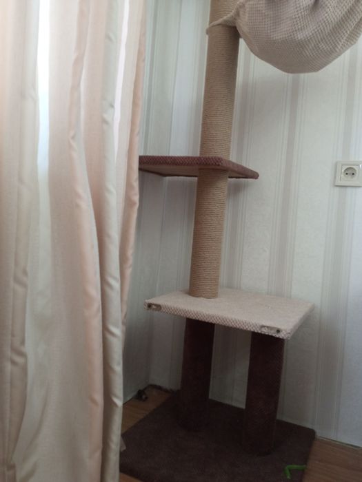 Когтеточка, драпка, комплекс