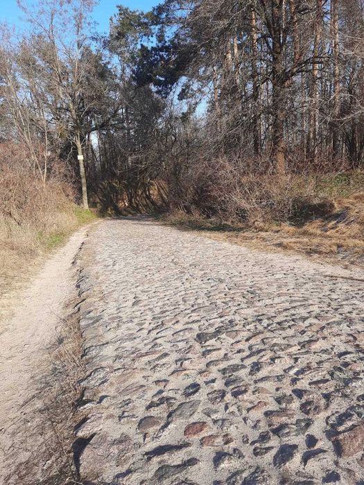 Пропонуємо до продажу земельну ділянку в с. Сагунівка