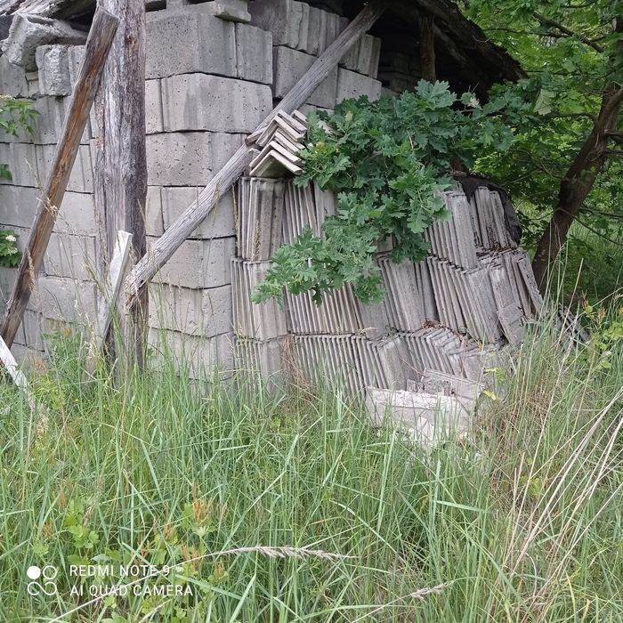 Pustaki duże i połówki