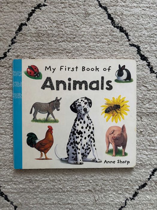 Książki po angielsku dla przedszkolaka