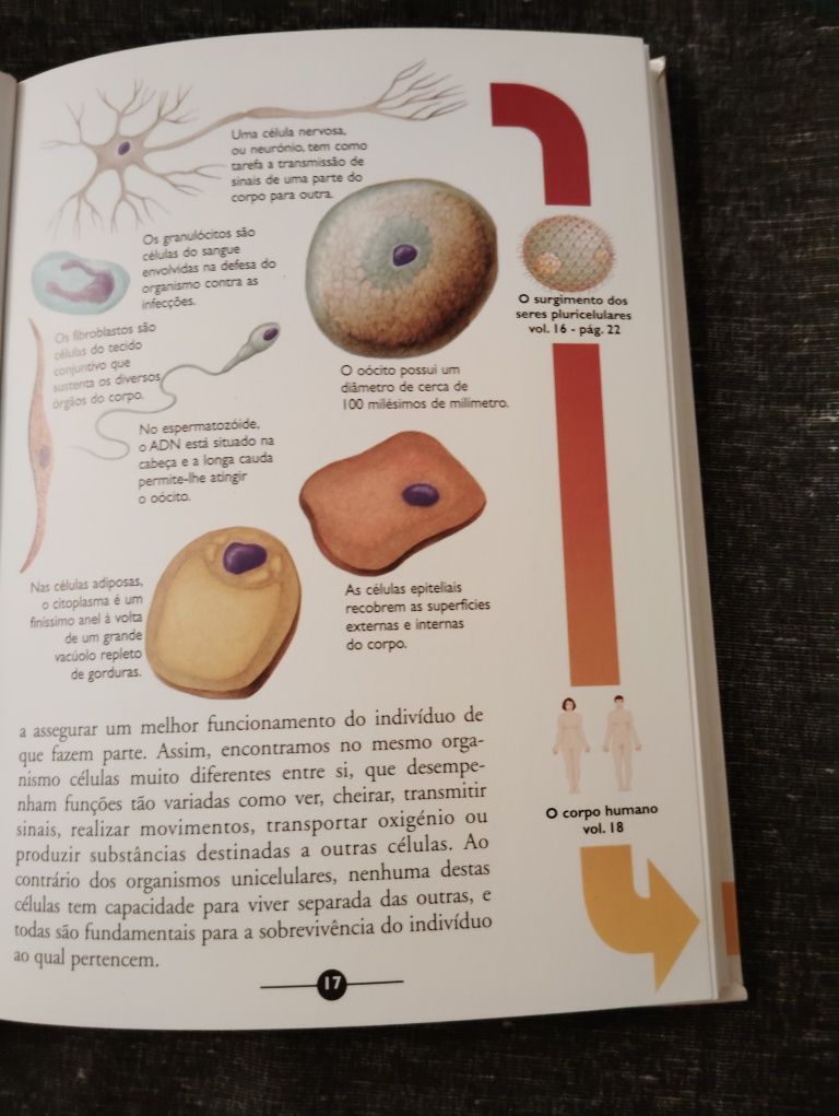 Livros de Ciências Usados