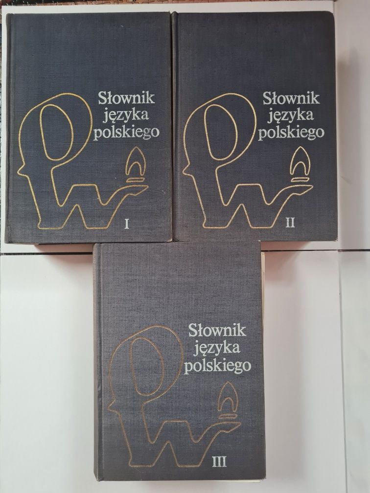 Słownik języka polskiego PWN zestaw 3 tomy