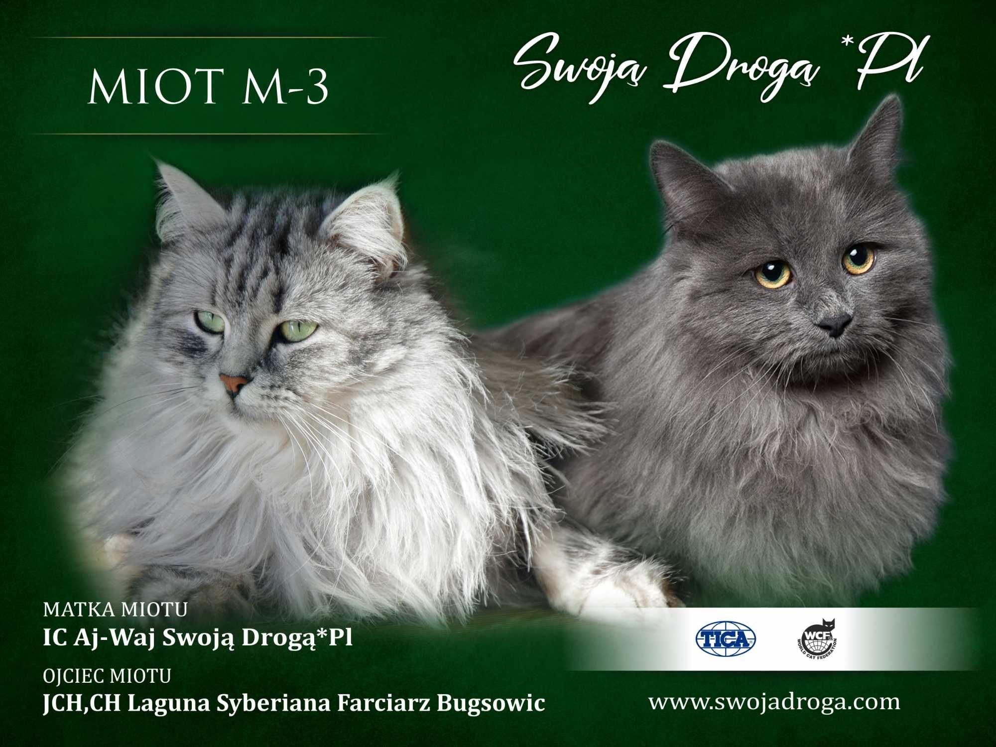 Modelka Swoją Drogą*Pl
