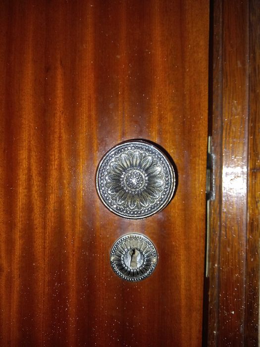 Maçanetas detalhadas em alumínio