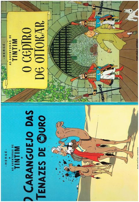 11860

Coleção As Aventuras de Tintim
de Hergé