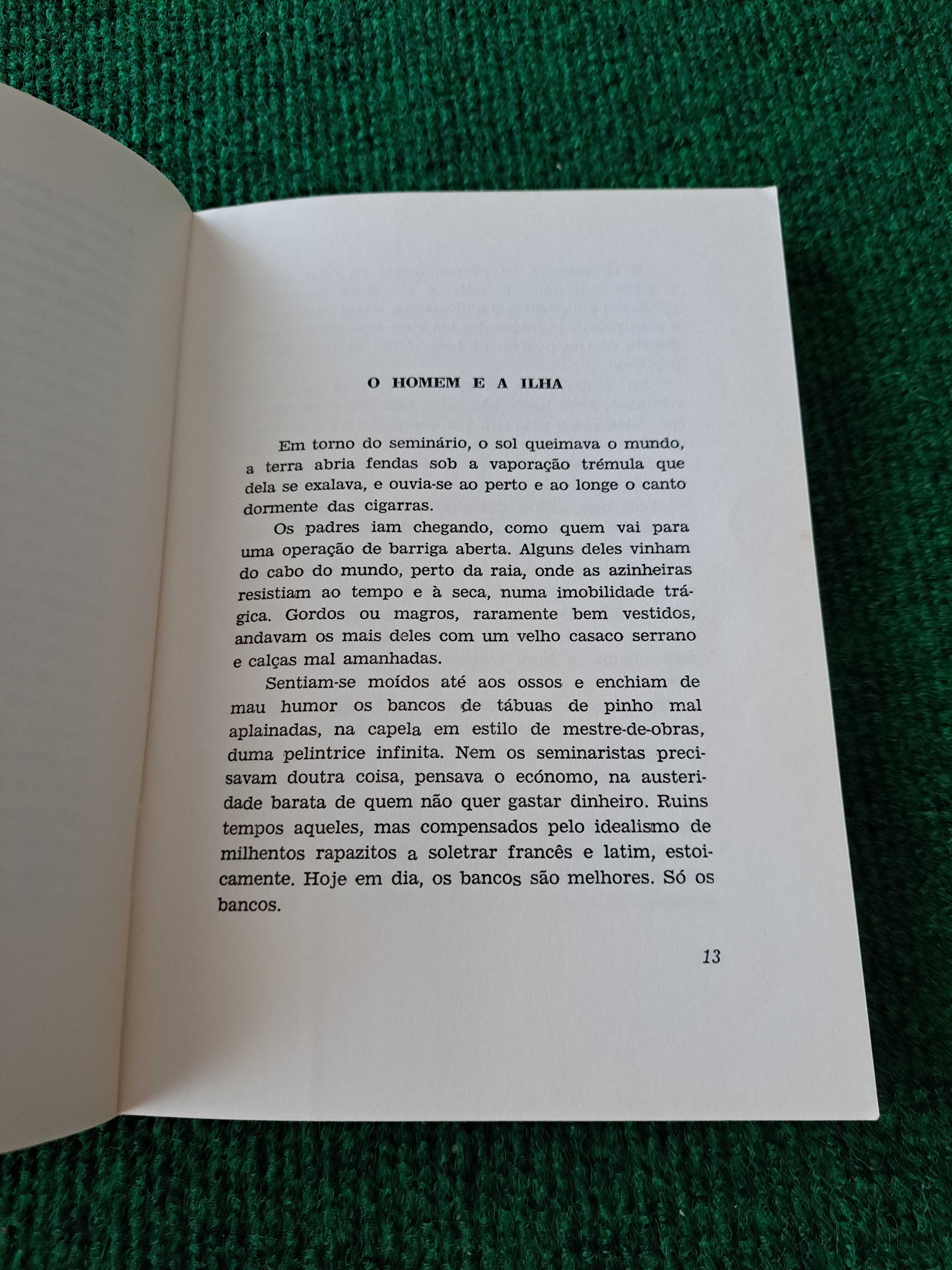 O Homem e a Ilha - Mário Martins