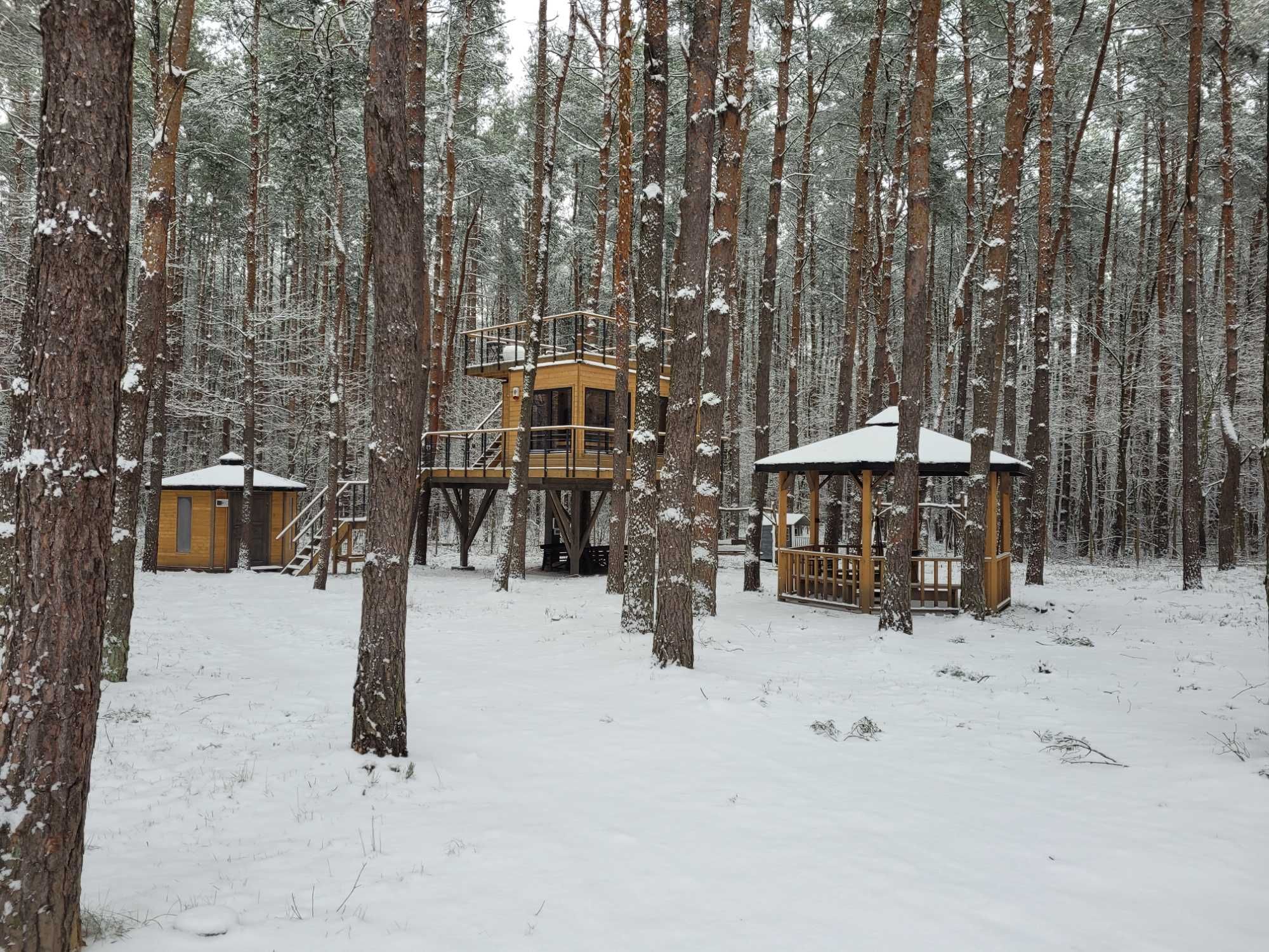 Domek na drzewie II blisko Suntago 30 min od Warszawy