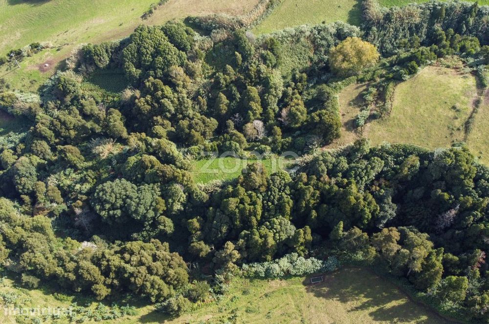 Terreno composto por mata com 13420m2