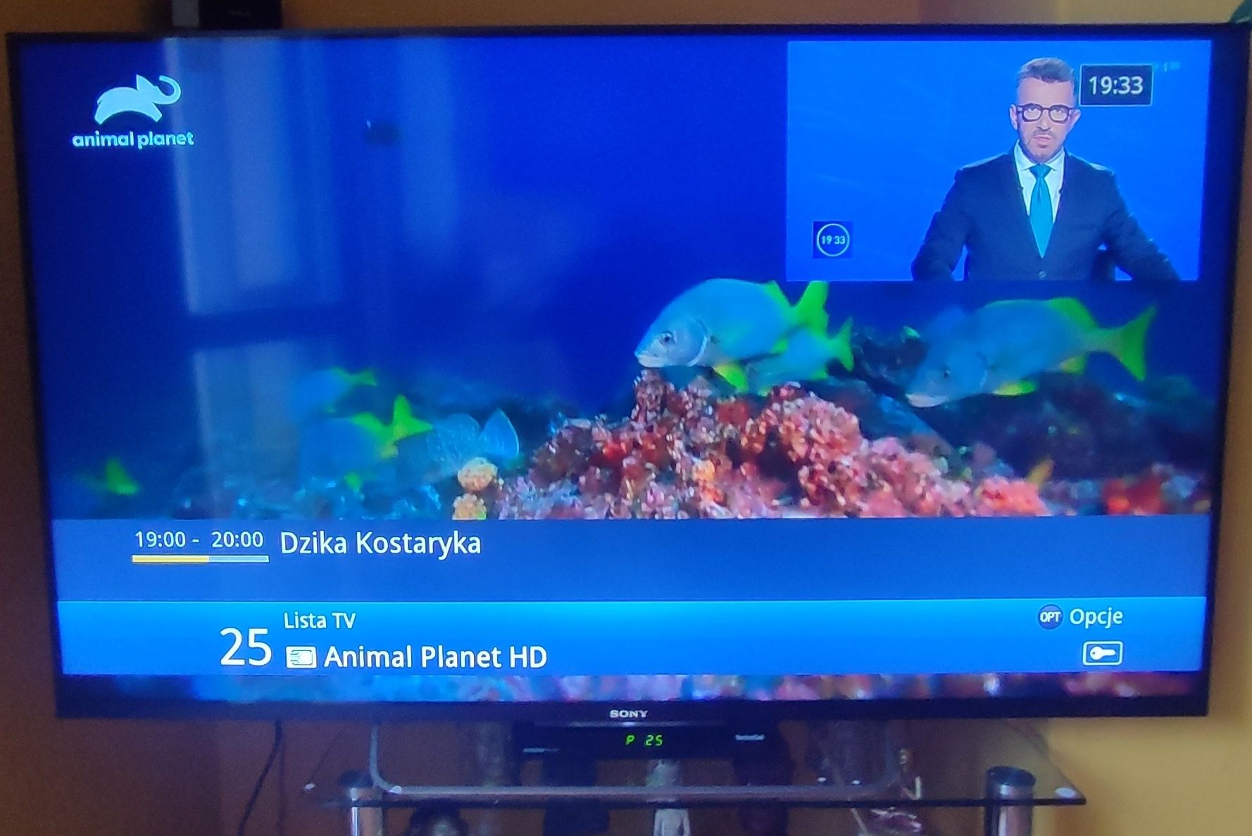 Telewizor Sony Bravia KDL-55W829B