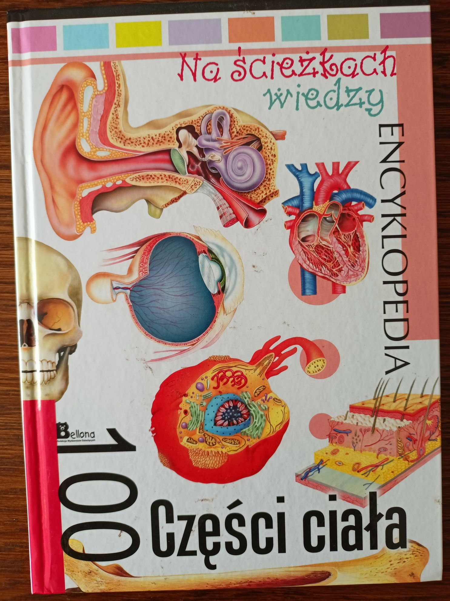 Części ciała. Encyklopedia. Na ścieżkach wiedzy.