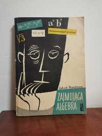 Zajmująca algebra Jakub perelman, książka matematyczna, biały kruk