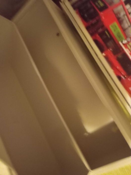 Sapateira em melanina