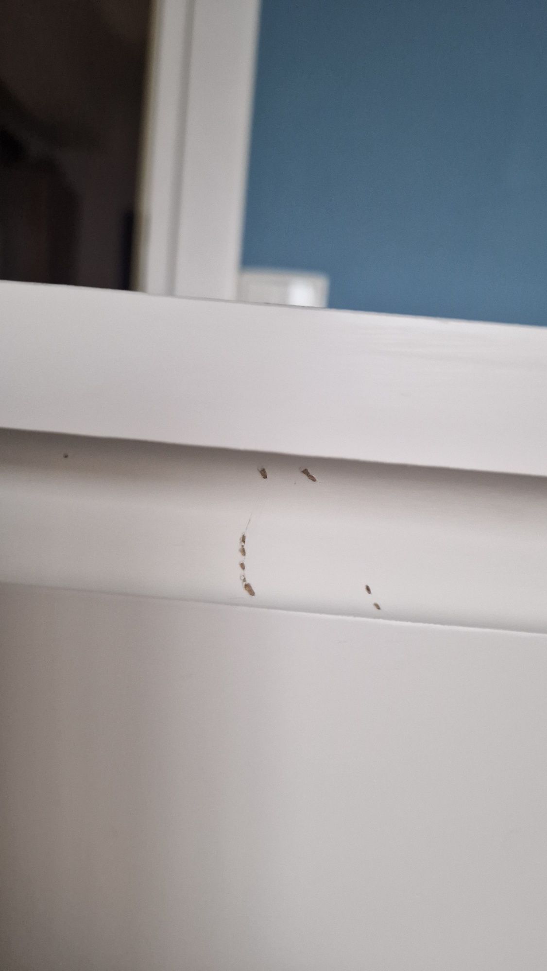 Rezerwacja Komoda malm ikea