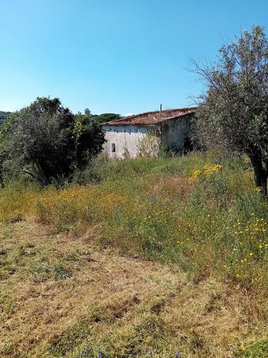 quinta  s mamede urra Alentejo Portalegre