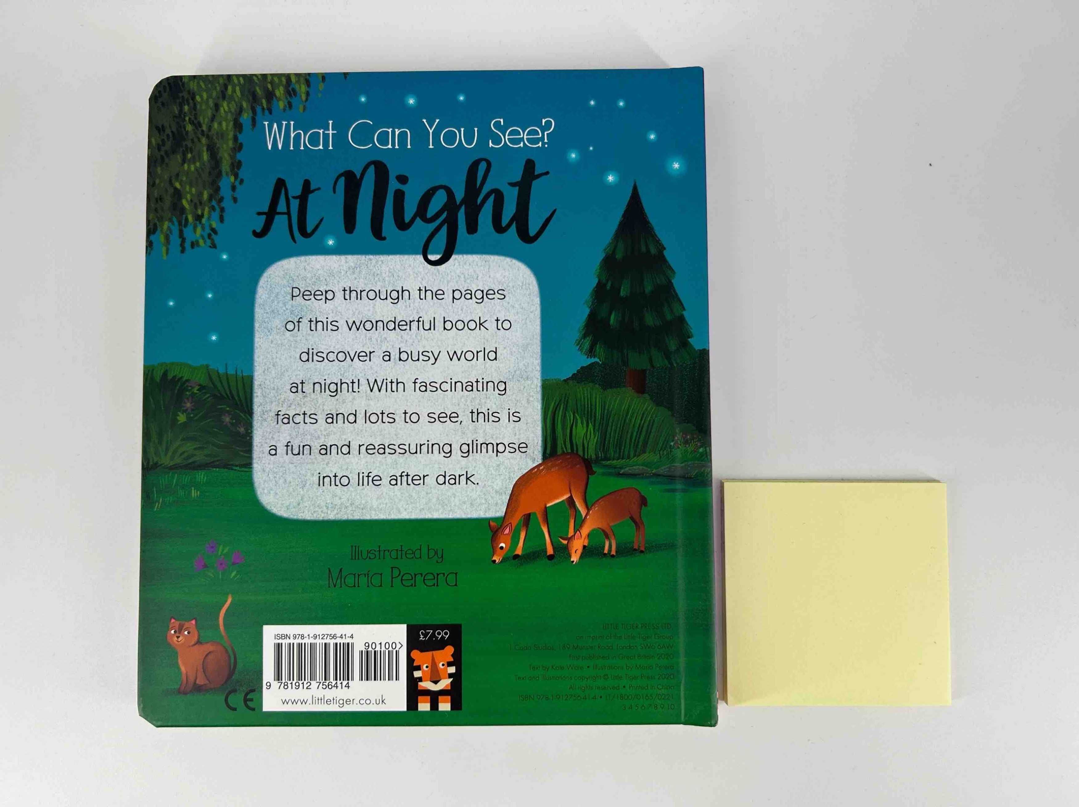 What Can You See At Night? książka kartonowa po angielsku
