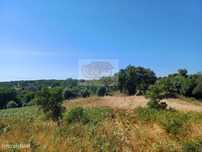 Terreno junto à aldeia de Melides - 5 minutos da Lagoa