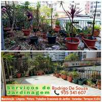 Jardineiro - Limpeza e manutenção de jardins/varandas/terraços