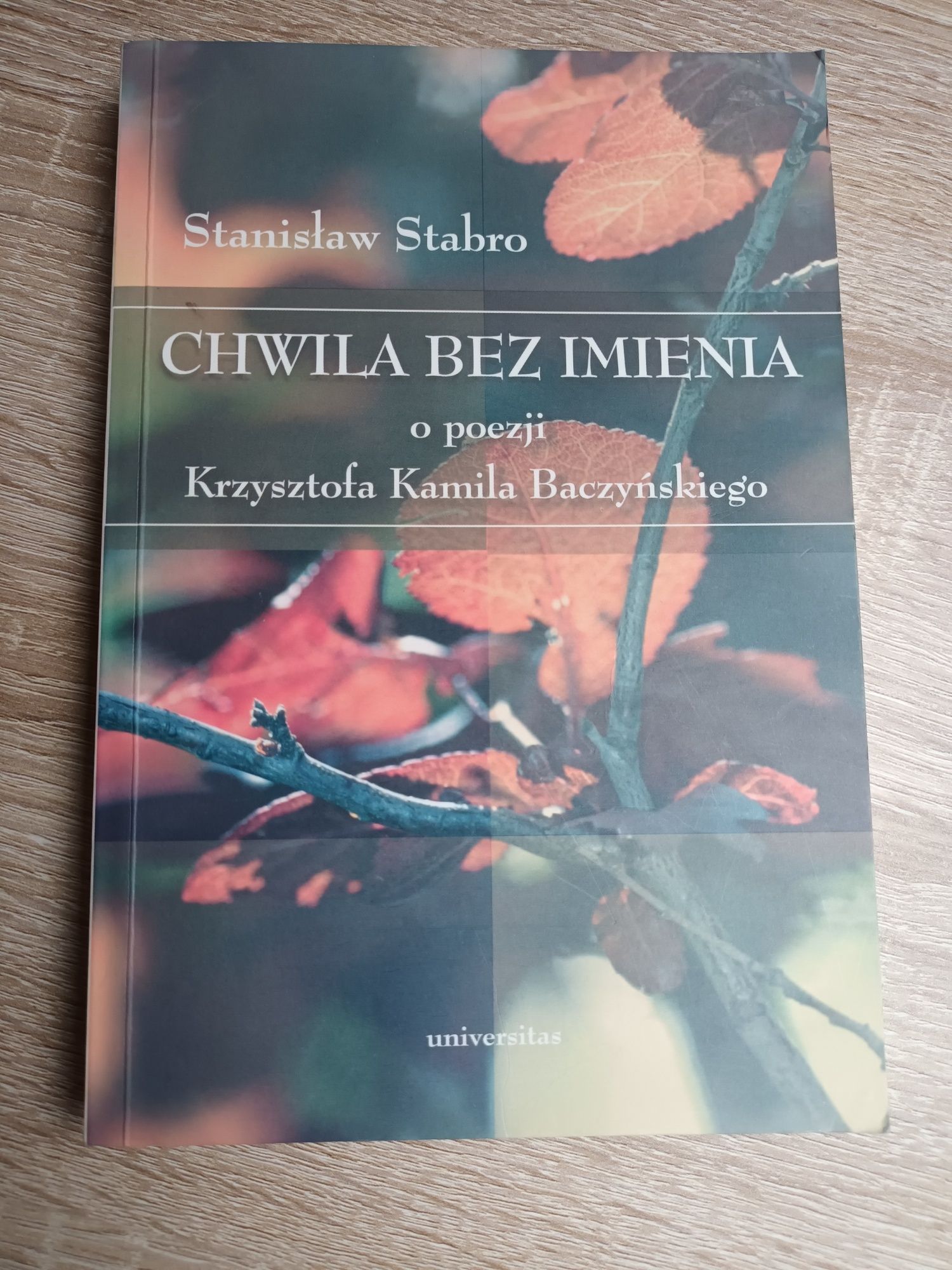 S. Stabro, Chwila bez imienia