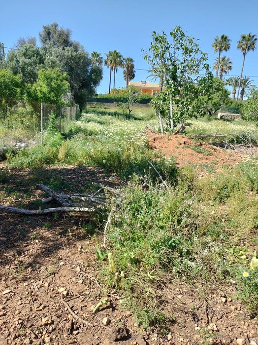 Quinta com Moradia no sitio do Poio - Mexilhoeira Grande