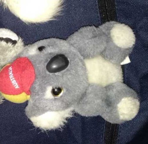 игрушка плюшевая мишка коала из Австралия кепка мех кенгуру
