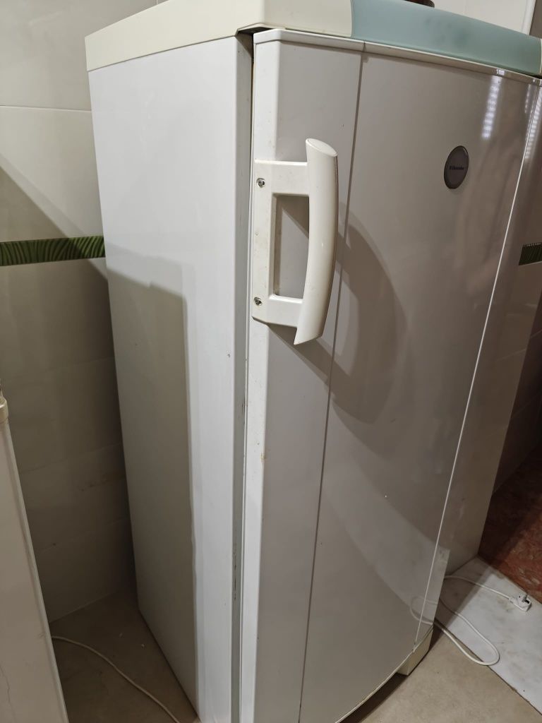Arca vertical Indesit