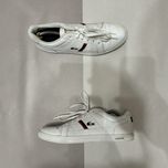 Кросівки Lacoste шкіряні 43 розмір 23