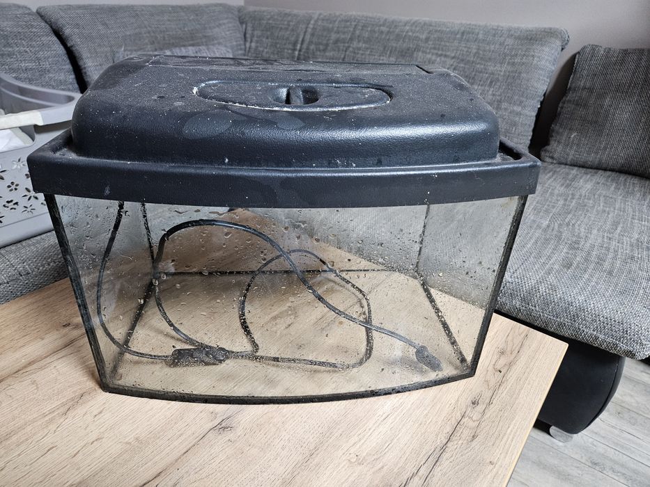 Male akwarium z pokrywą