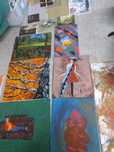 Lote de telas pintadas
