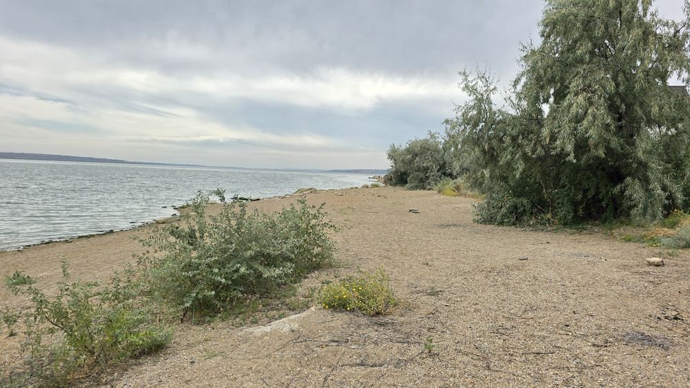 Алтестово  Участок 4 сотки с кадастровым / Возможна продажа соседнего