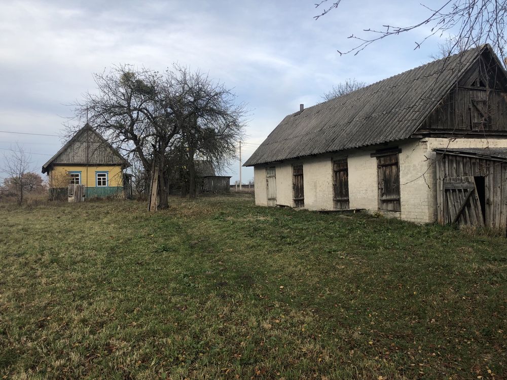 Житловий будинок, сарай літня кухня, колодязь