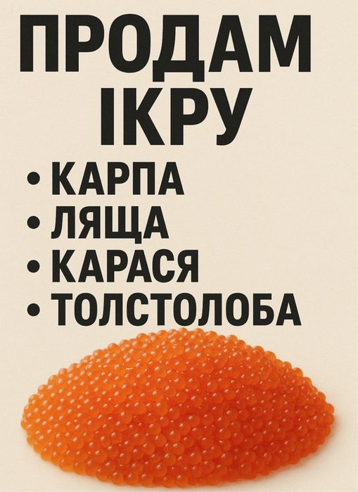 Продам Ікра охолоджена лящ короп карась толстолоб