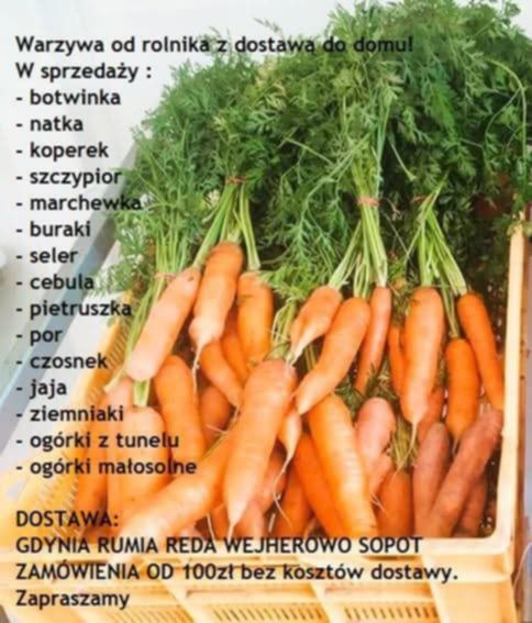 Warzywa marchewka rzodkiewka sałata truskawka