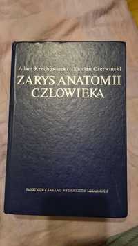 Zarys Anatomii Człowieka