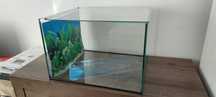 Akwarium Terrarium 45x37x30  50 l