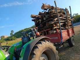 Vendo Lenha Mistura / Eucalipto