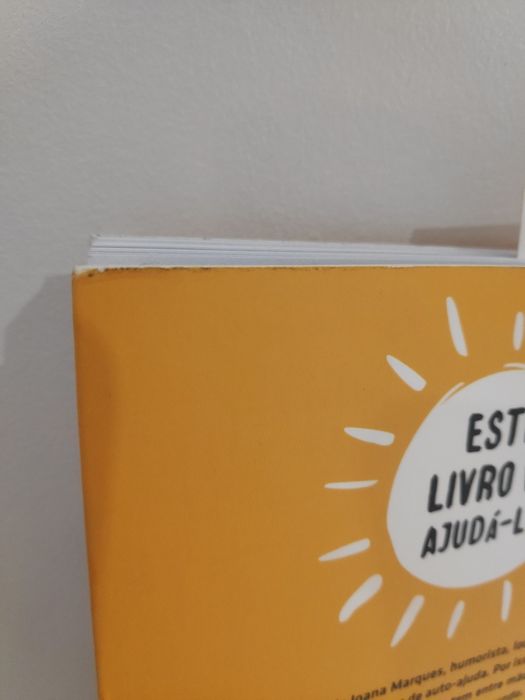 Livro Joana Marques "Isto vai acabar mal"